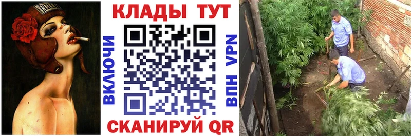 Наркотические вещества Змеиногорск Галлюциногенные грибы  ГАШ  А ПВП 