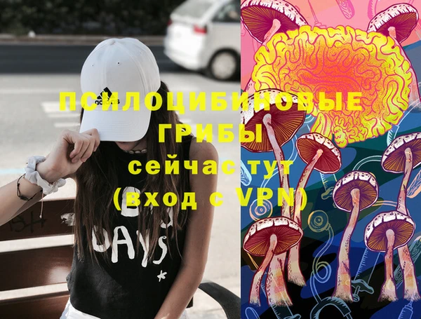 амф Абаза