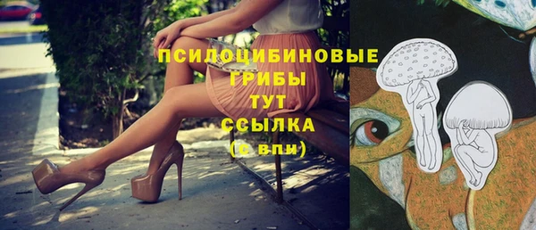 амф Абаза