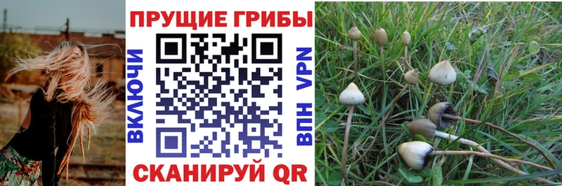 Галлюциногенные грибы Magic Shrooms  Змеиногорск 